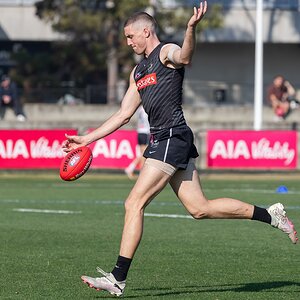 Darcy Cameron 1DX_5034.jpg