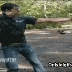 IMG_0261.gif
