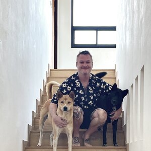 coffee and whisky expo.jpg