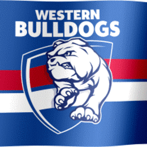 Western_Bulldogs_flag-3237498212.gif