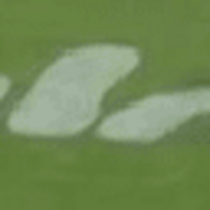 fryfhy.png