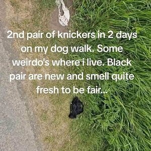 IMG_0318.jpeg