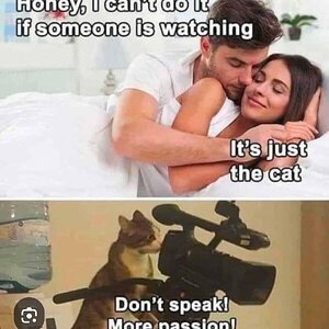 IMG_3263.jpeg