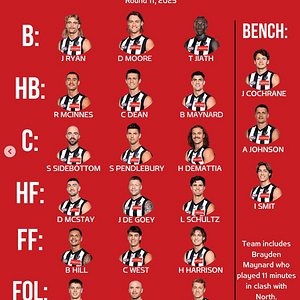 pies2.png