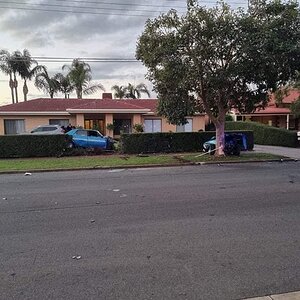 IMG_0368.jpeg