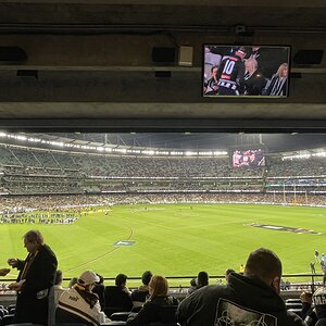 IMG_1103.jpeg