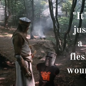 Flesh Wound.png