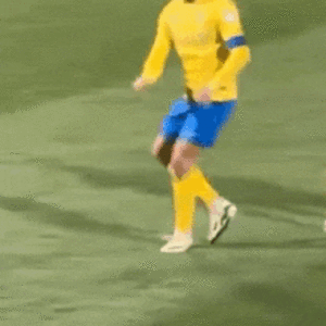 IMG_5154.gif