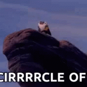 circleoflife-lion.gif