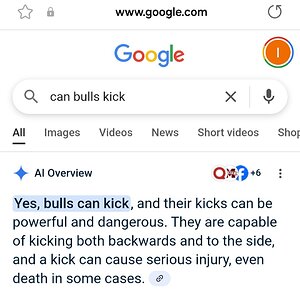 Screenshot_20250621_211004_Samsung Internet.jpg