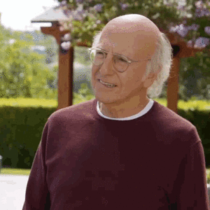 reasonsimbroke-larry-david.gif