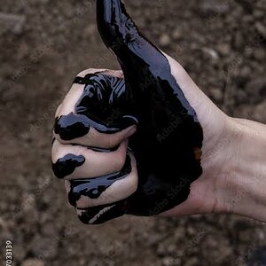 images (1) (10).jpeg