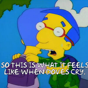 images (2) (12).jpeg