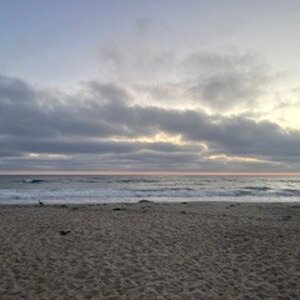 IMG_7733.jpeg