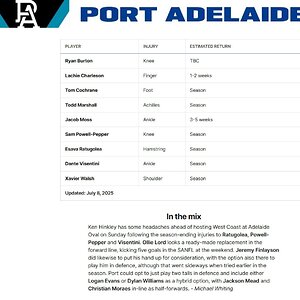 Screenshot_9-7-2025_142917_www.afl.com.au.jpeg
