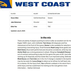 Screenshot_9-7-2025_143012_www.afl.com.au.jpeg