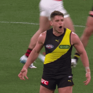 Prestia melt.gif