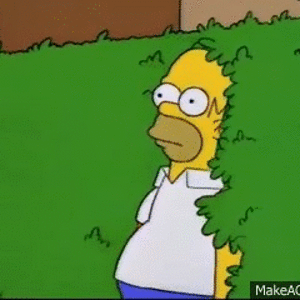 homer-bushes-gif-21.gif