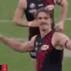 joe-daniher.gif