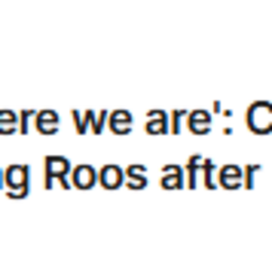 plooo.png
