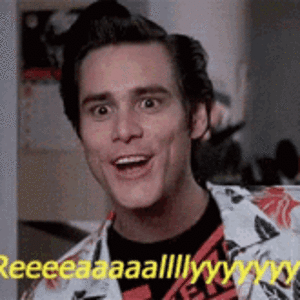 animals-funny.gif