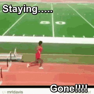 IMG_4256.gif