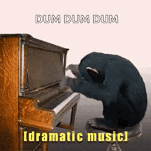 IMG_2723.gif