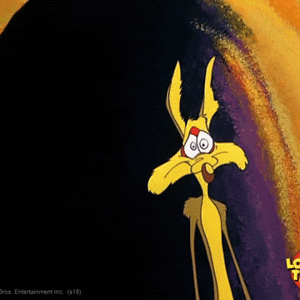 Looney Tunes - Wile E Coyote Stop in the name of Humanity.gif