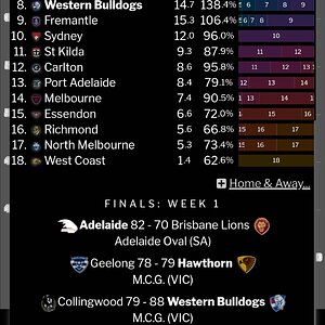 Screenshot_20250816_172604_Samsung Internet.jpg