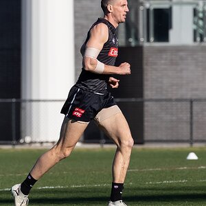 Darcy Cameron 1DX_5300.jpg