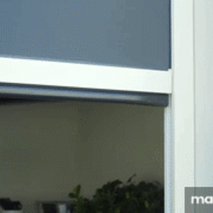 IMG_5532.gif