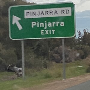 IMG_7094.jpeg