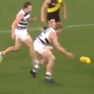 stewart 20250823.gif