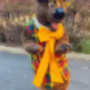 1757156302345.gif