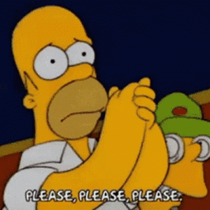 homer-simpson-please-please.gif