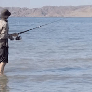 1757479291964.gif