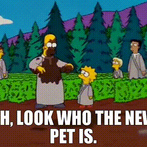 simpsonsNewPet.gif