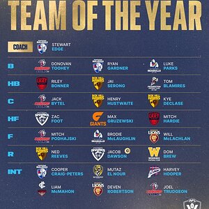 the-2025-smithys-vfl-team-of-the-year-v0-hkct8jn4bbpf1.jpeg