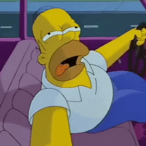 homer-the-simpsons.gif