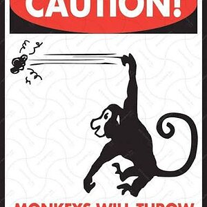 images - 2025-09-23T162634.804.jpeg