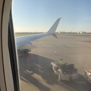 IMG_4184.jpeg