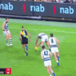 dusty-dustin-martin (1).gif