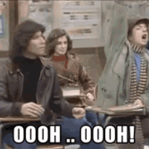 welcome-back-kotter-kotter.gif