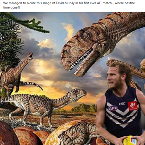 1659327363929.png