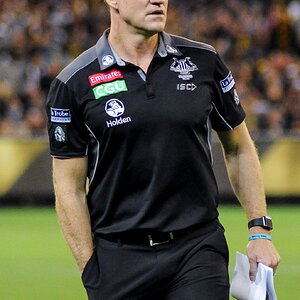 Nathan_Buckley_2017.jpg