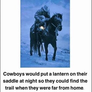 IMG_1228.jpeg