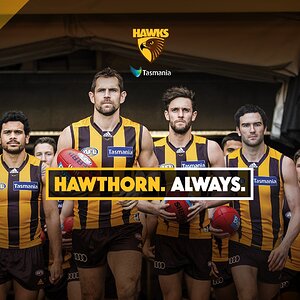 2016-0167 Fan Wallpapers_Desktop 1920x1080.jpg