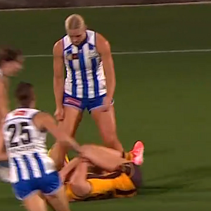 Screenshot 2025-11-07 200249 crop.png