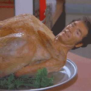 kramer turkey 2.gif