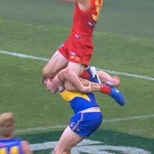 images (2) (14).jpeg